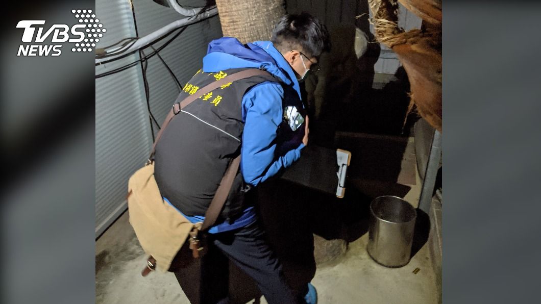 夜店宣傳煽情罰不怕又帶羊駝入場 動保處二度稽查