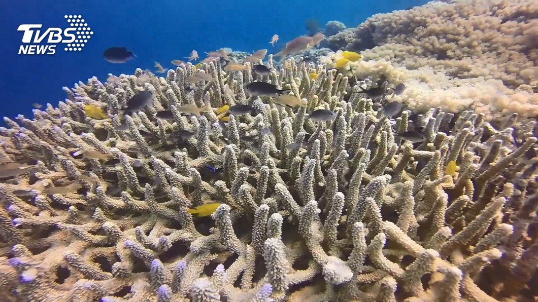 人類對氣候影響深遠 研究:海洋暖化已持續1萬2千年