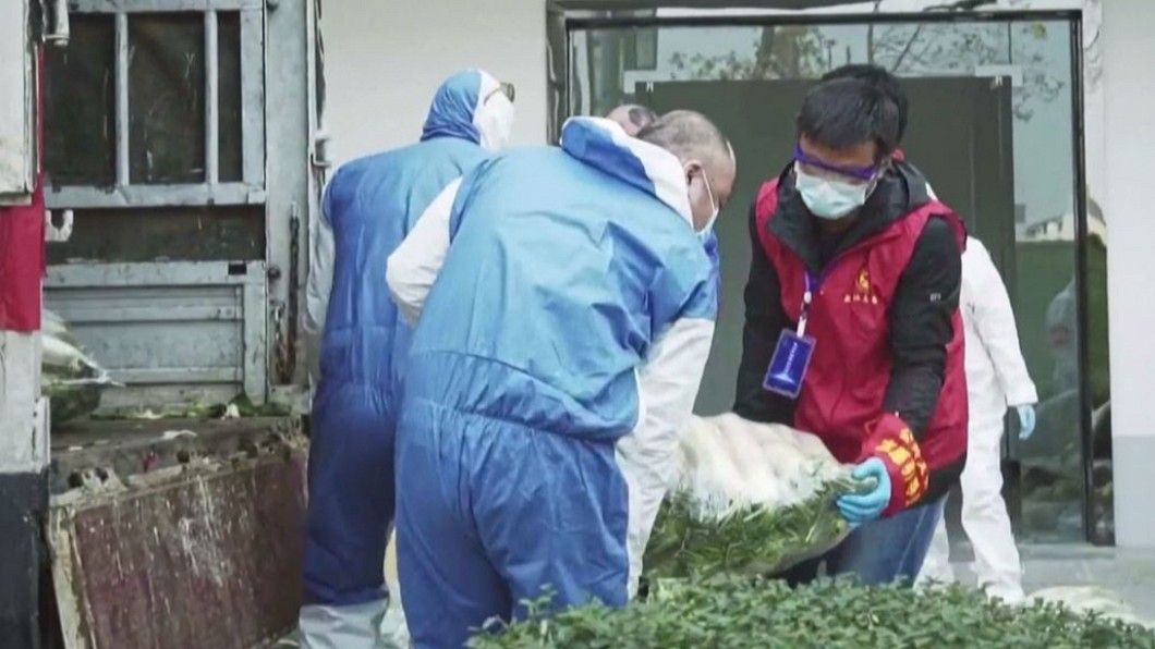 武漢市各居委會工作人員與志願者從卡車上卸下各類蔬菜。(圖/CCTV)