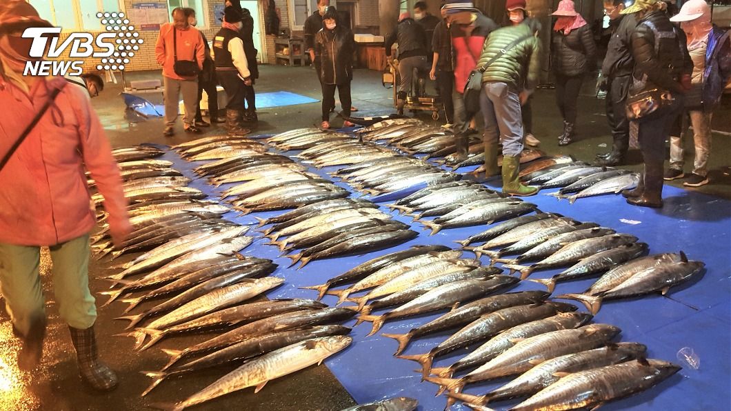 馬公罕見白腹魚　每公斤8888元天價標售