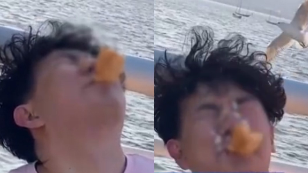 悲劇!嘴對嘴餵食海鷗 男遭「加料洗臉」崩潰:臭到吐