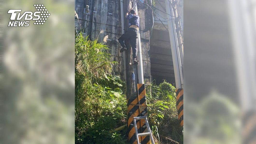 不滿住家常跳電 新北7旬老翁爬上電線桿抗議