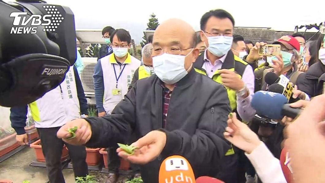 蘇貞昌笑「聞嘸九層塔」就新冠肺炎　議員轟：無知歧視