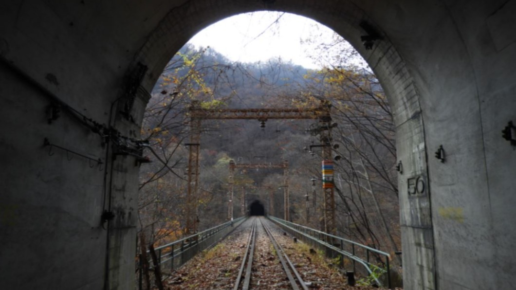 鐵道迷新天地　日群馬廢棄線路變夢幻絕景