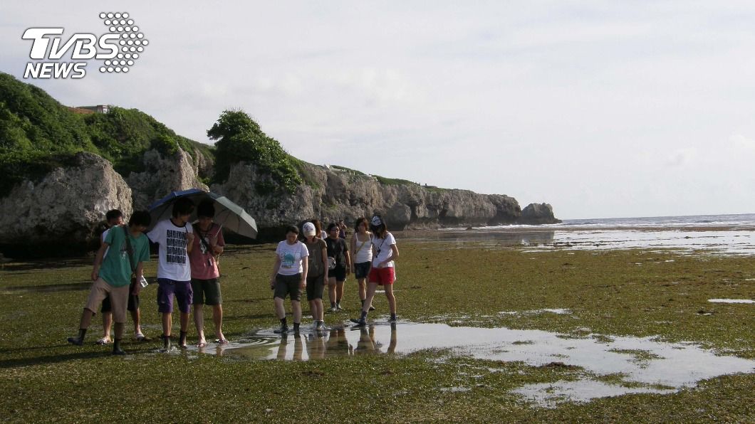 圖為往日海草床美景。(圖/中央社)