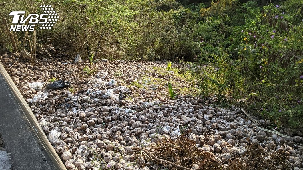 旗山國有林地成椰殼垃圾山 嫌被起訴林務局求償