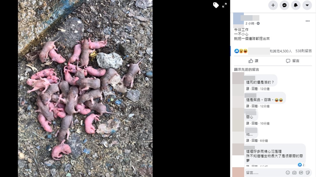 (圖/翻攝自爆怨公社二館臉書)
