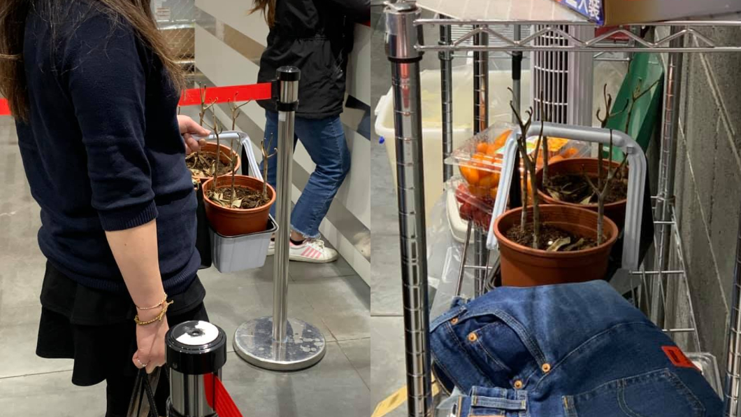 大媽抱「2盆枯死盆栽」喊退貨 結局曝光引眾怒:無恥!