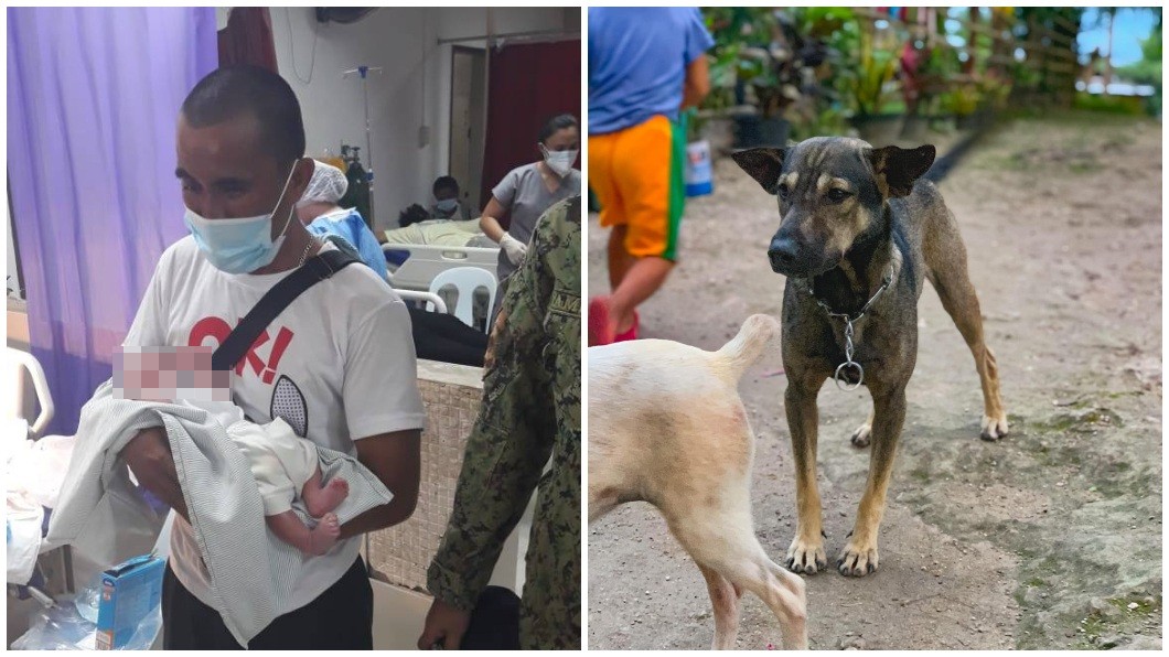 狗英雄!騎車遇陌生犬狂吠 菲男追到垃圾場救出棄嬰