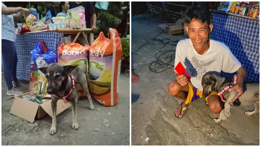 事後這隻狗狗獲得動物救援組織的讚賞,負責人還送上感謝狀和寵物食品。(合成圖/翻攝自臉書粉絲團Sibonga Wcpd)