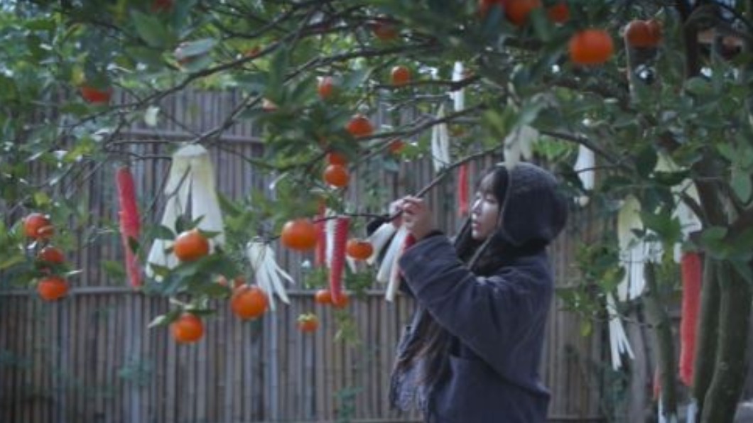 圖/翻攝自李子柒微博