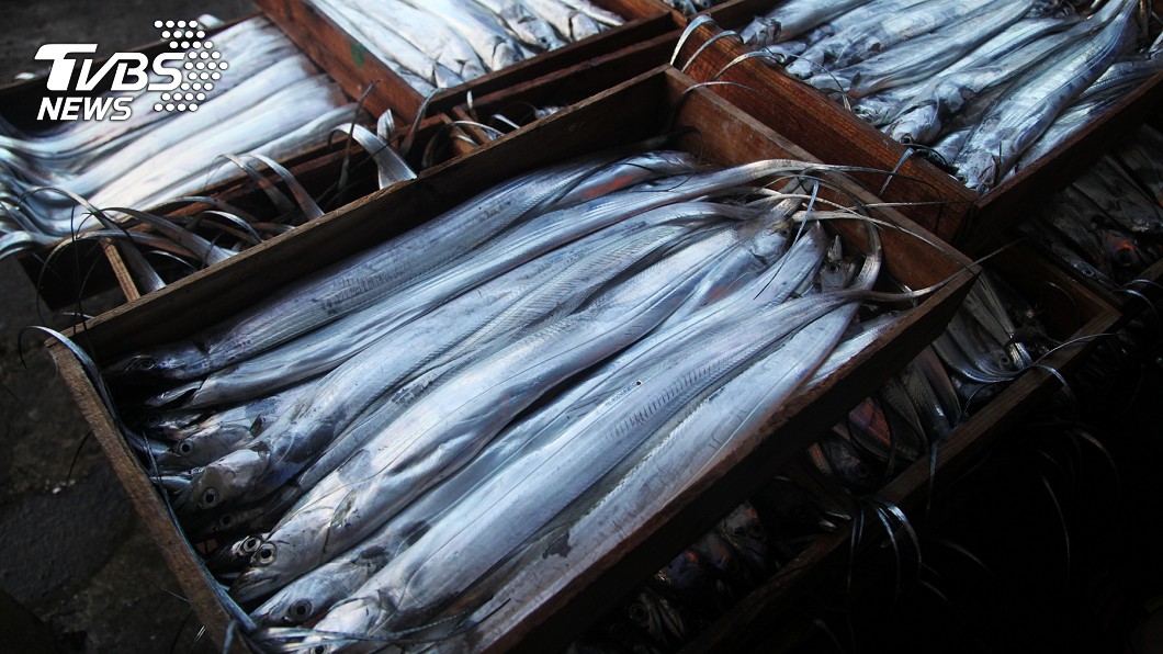 台產白帶魚被禁1周。(示意圖/shutterstock達志影像)