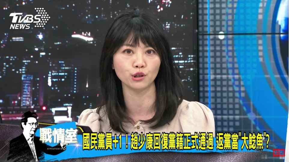 高嘉瑜認為只有沈富雄能制衡趙少康。(圖/TVBS)