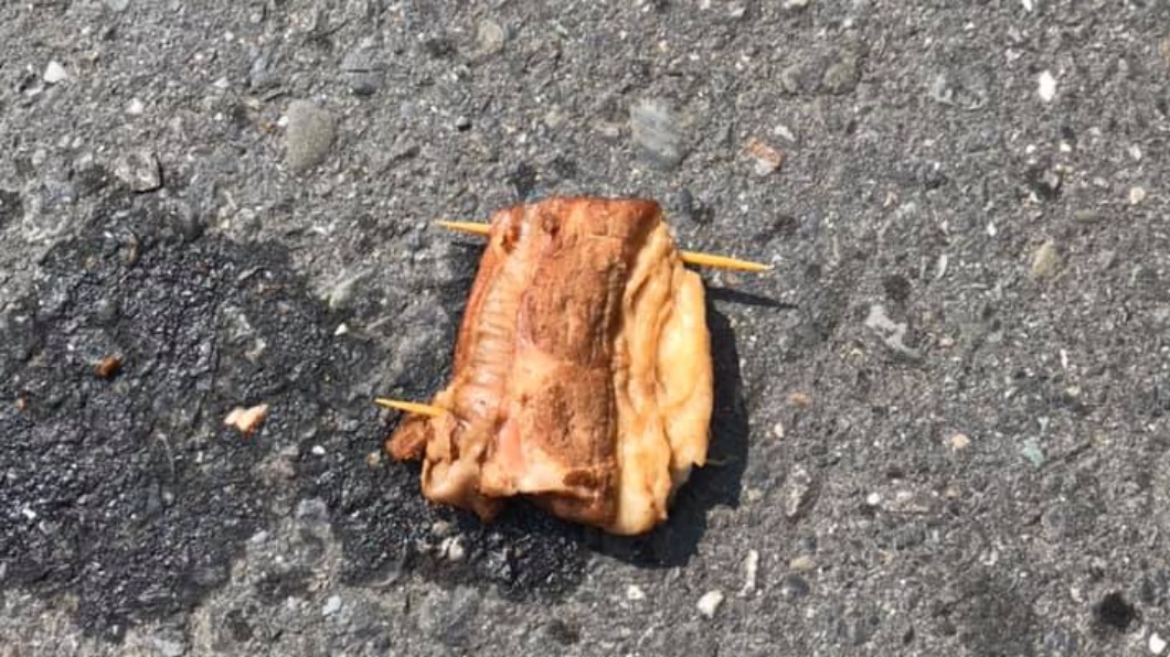 馬路驚見「一塊爌肉」 原PO超暖1舉動全網讚爆:太有愛
