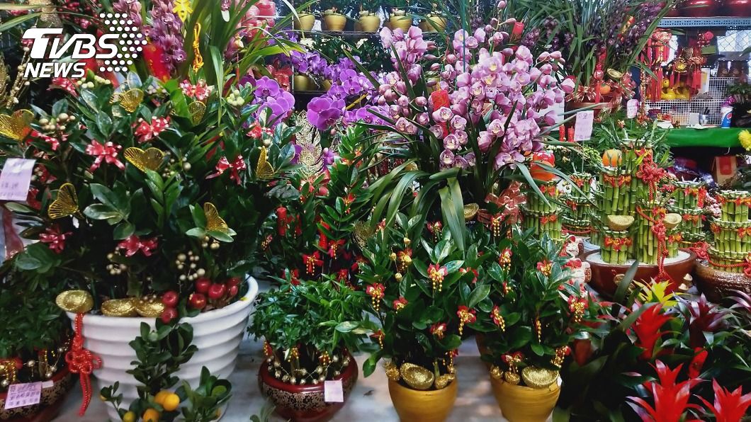 春節衝買氣 板橋花市延長夜間營業時間