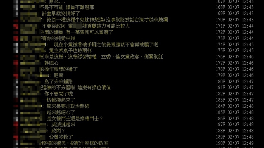 網友挖出雞排妹昔日發言，若30歲未嫁將從政，引熱議。（圖／翻攝自PTT）