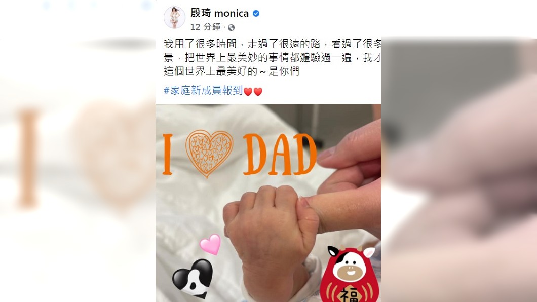 殷琦宣布家庭新成員報到。(圖/翻攝自殷琦臉書)