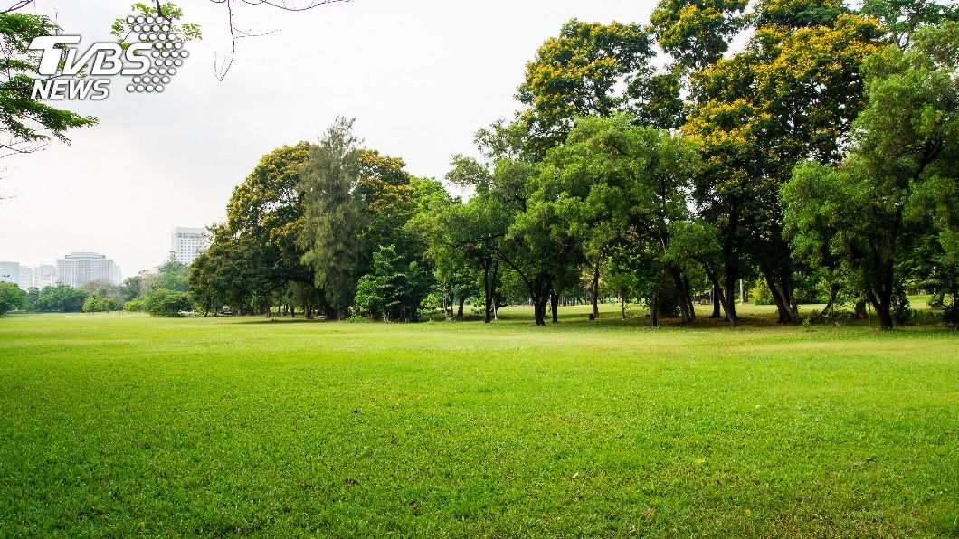 公園草皮塌陷見「恐怖巨坑」 英女嚇壞:埋了8萬屍!