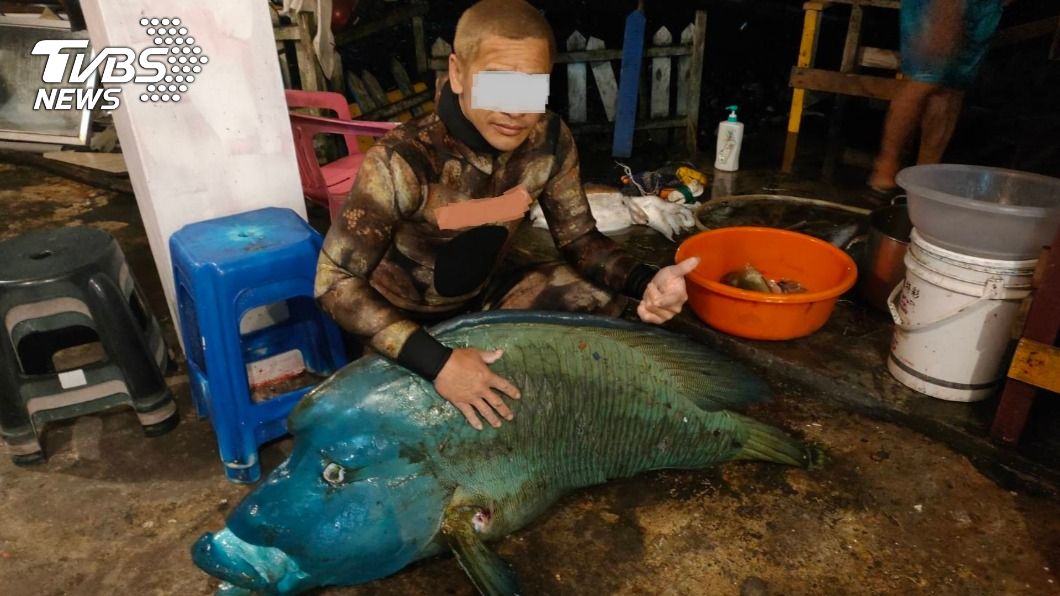 蘭嶼僅剩4隻!保育龍王鯛再遭殺 男比讚合影炫耀