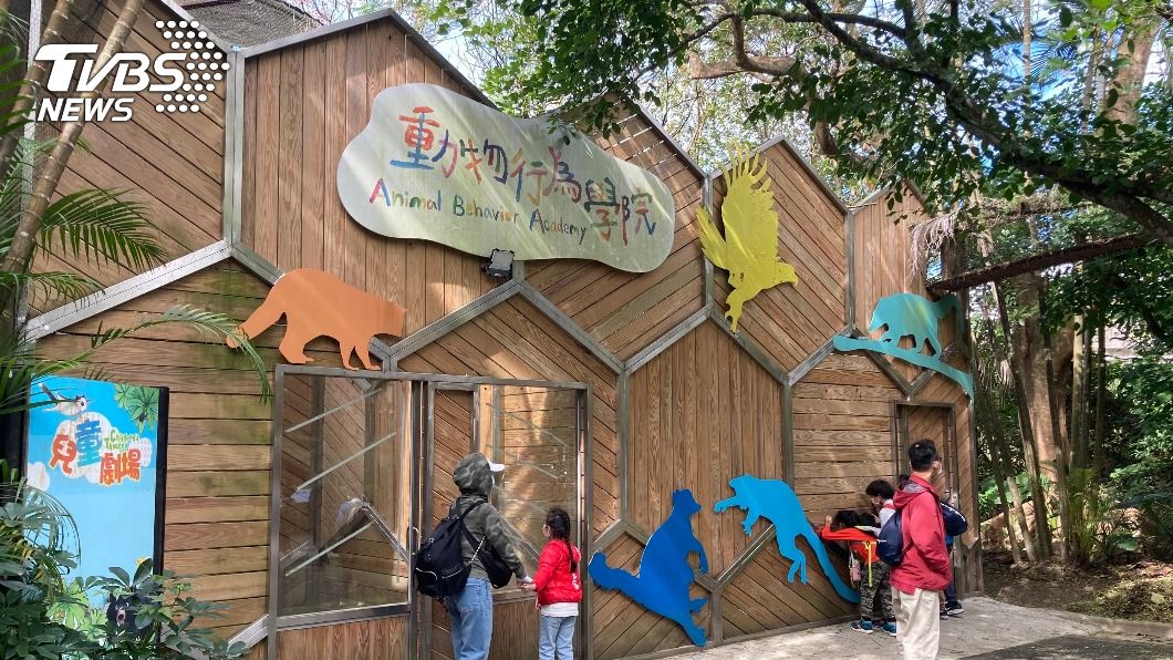 羊駝、鸚鵡當老師 北市動物園示範新型態動物展演