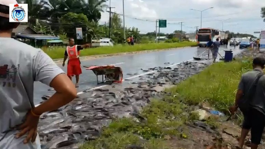 泰卡車突翻覆　2噸活鯰魚柏油路狂跳飄超臭腥味