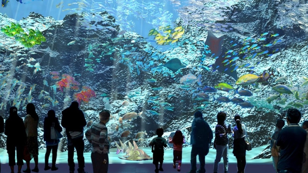 讓魚兒陪你睡!全台最大水族館結合「夜宿體驗」超夢幻