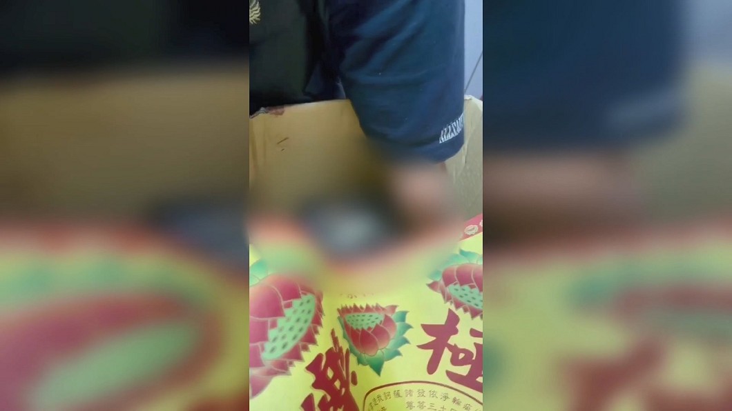 圖/翻攝自臉書邵柏虎