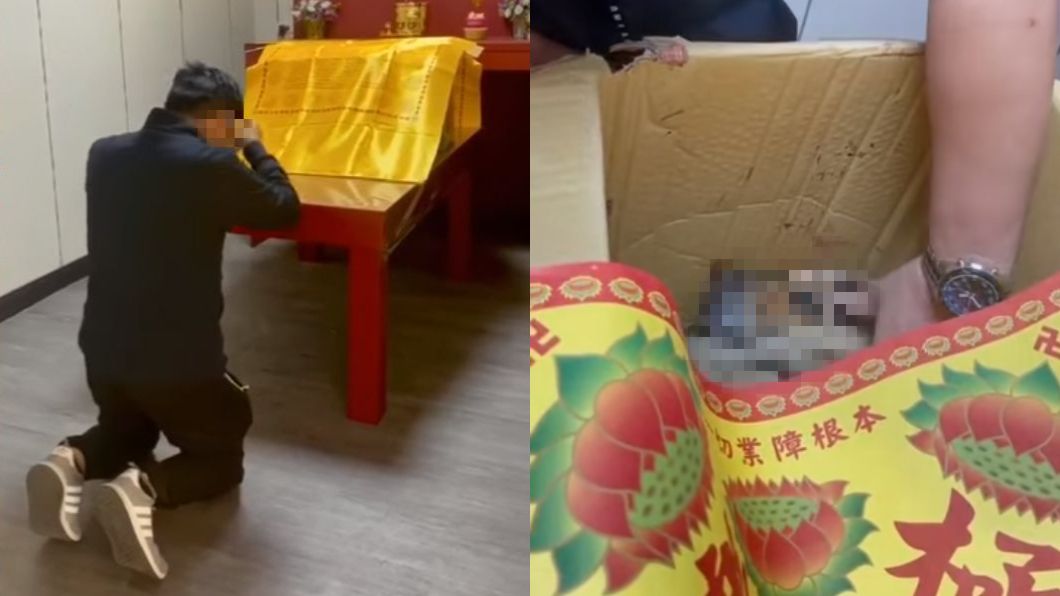 靈堂下跪也沒用 輾狗男驚傳遭公司開除:明天不用來了