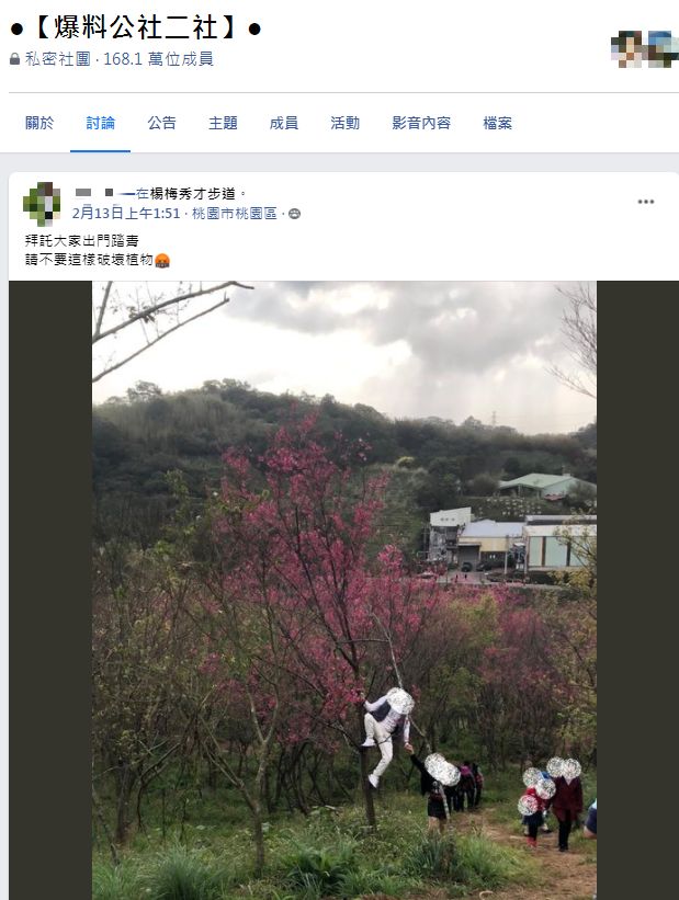 男遊客爬樹拍照,讓周圍民眾看不下去。(圖/翻攝自爆料公社二社)