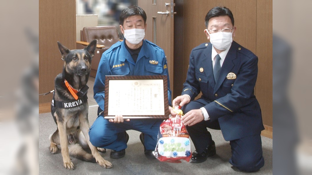 日落跑警犬戴罪立功 速找回「失蹤嬤」光榮授獎