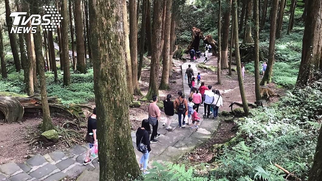 阿里山遊樂區109年遊客跌破百萬 創10年最低