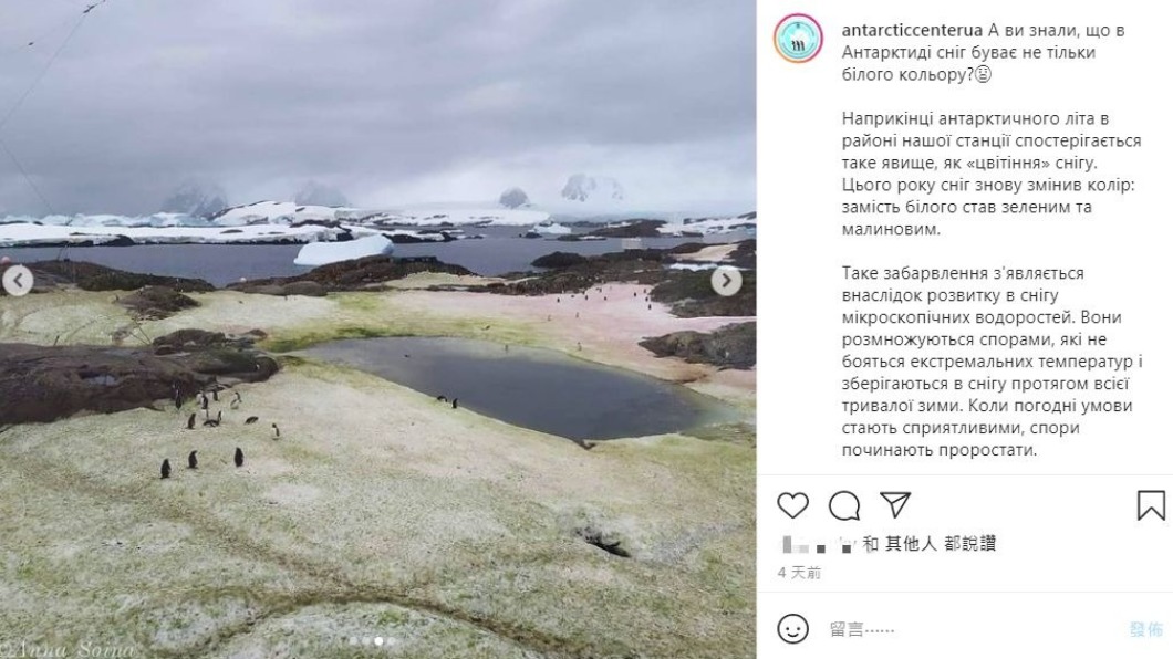 南極雪地染上藻綠及腥紅色。（圖／翻攝自National Antarctic Scientific Centre IG）