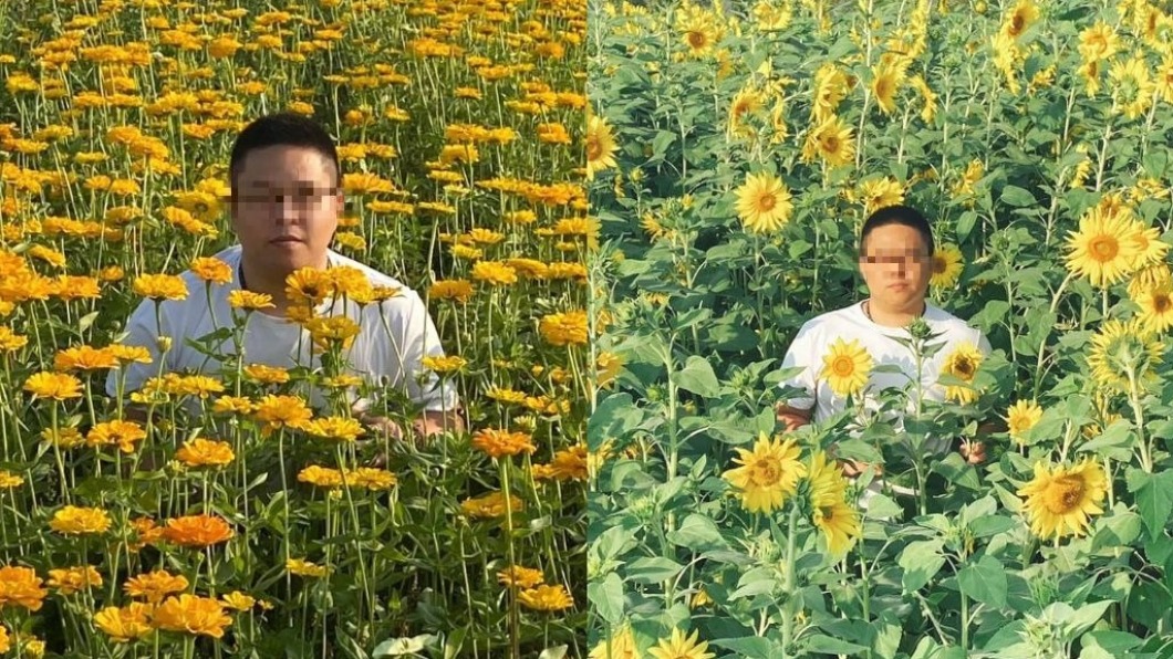 妻拍夫「黃花海」莊嚴獨照 網看笑翻:差點鞠躬