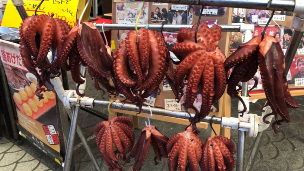 暖冬影響! 日本明石港章魚漁獲量翻3倍