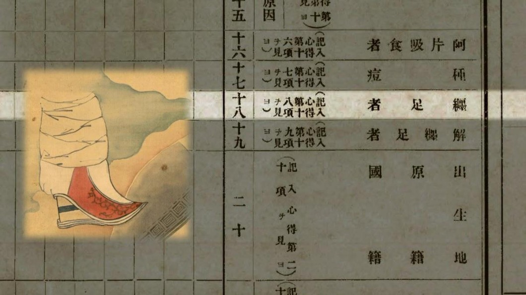 日本統計局開箱 史上首款普查表!對象台灣