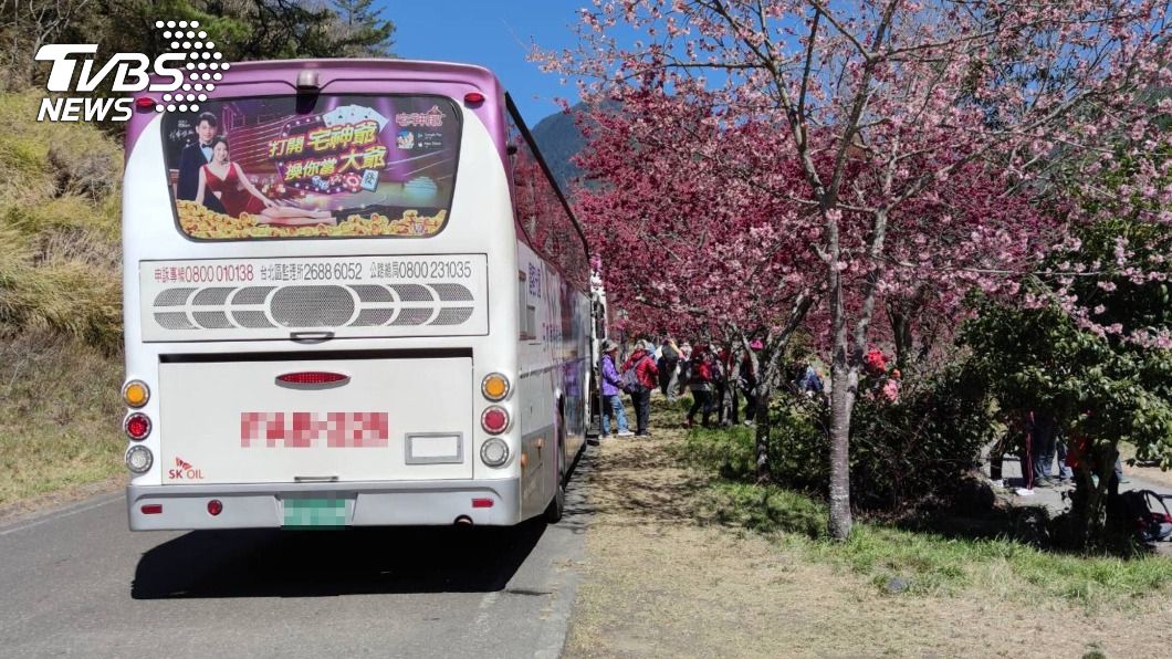 武陵農場賞櫻交管起衝突 員工持漆彈槍射遊客車窗