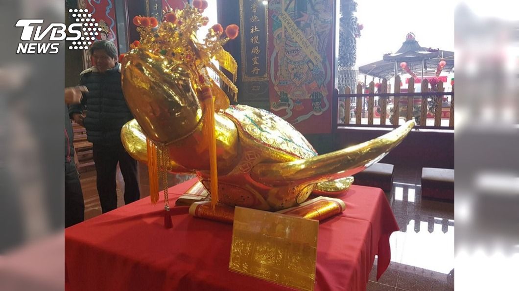 澎湖元宵乞龜祈福 重達390兩黃金龜亮相