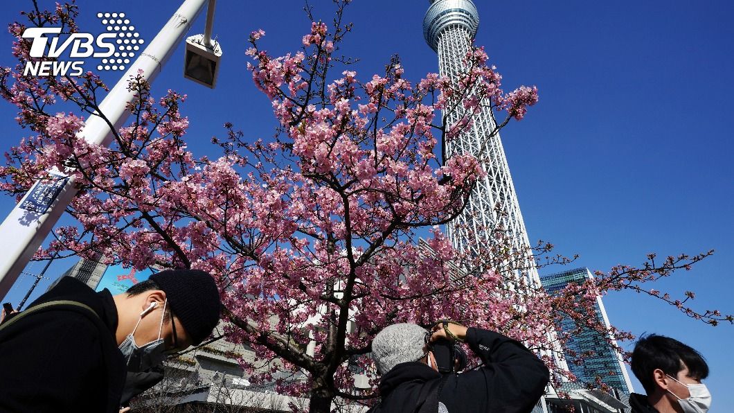 春暖花開心驚驚 日本人最怕花粉症「惡魔光環」