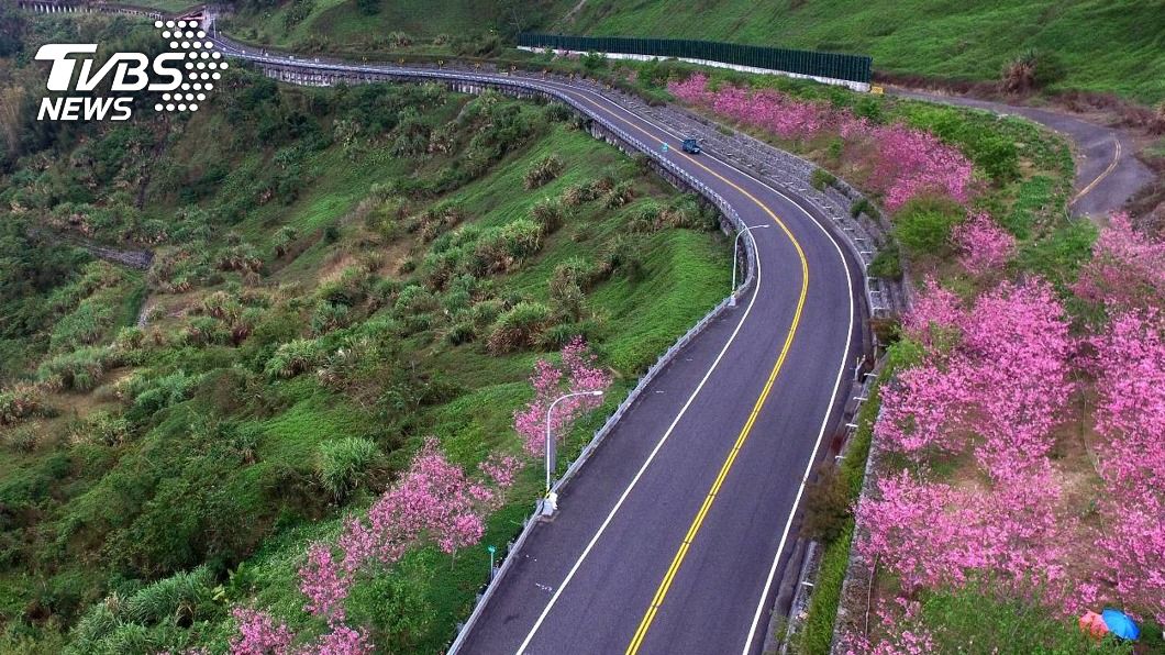 連假走「台18線」上阿里山 勿行替代道路避免塞車