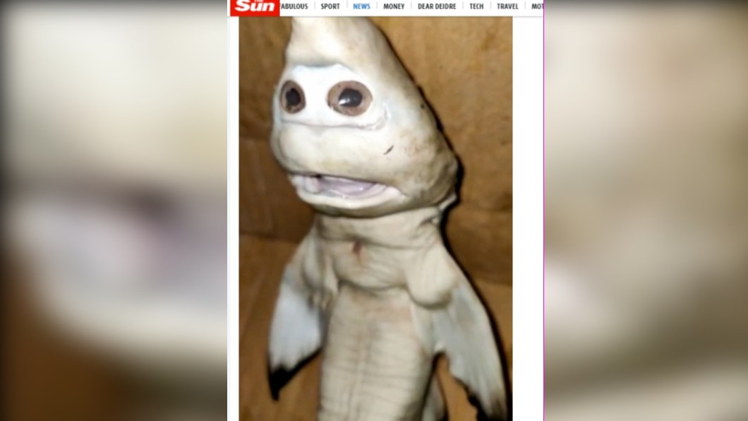 鯊魚的樣貌神似「人臉」,令人看了嘖嘖稱奇。(圖/翻攝自《太陽報》)