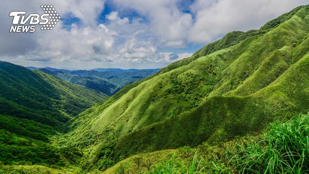 宜蘭抹茶山近年爆紅,成為超人氣景點。(示意圖/shutterstock達志影像)