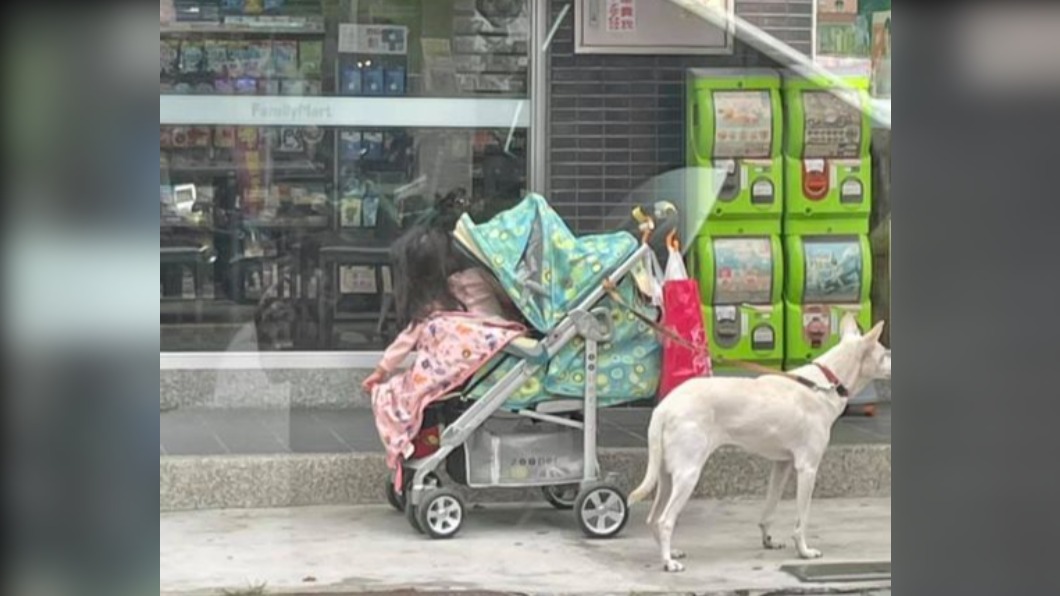 家長逛超商「小白綁娃娃車顧孩」 全網傻眼:暴衝怎辦