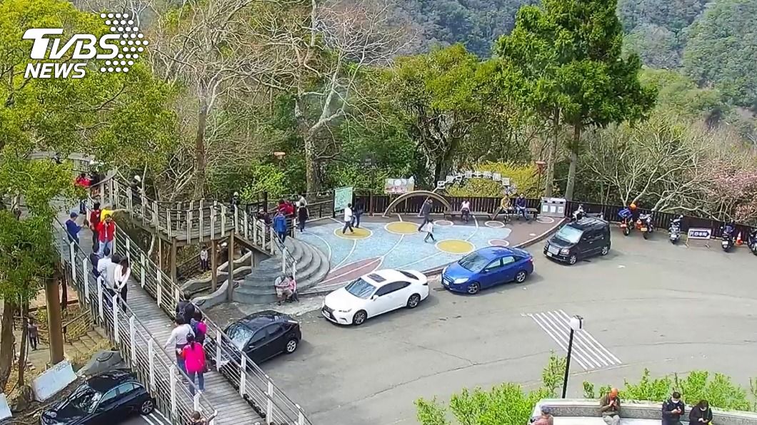 228連假搭上櫻花季 桃園拉拉山人潮燈號轉黃