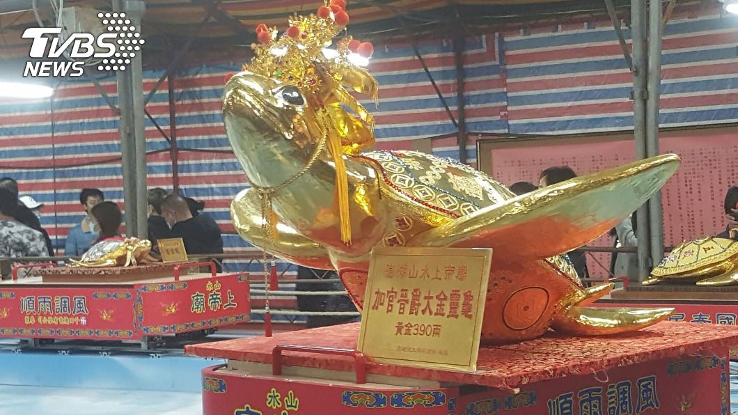 390兩市價逾2500萬!澎湖女婿擲筊抱回大金龜