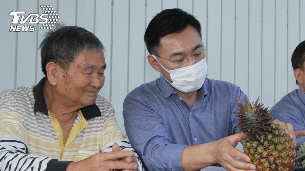 陸禁台鳳梨扯檢疫問題?江啟臣允藍執政縣市行銷