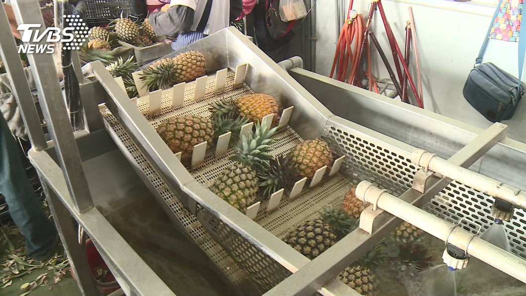 大陸禁台灣鳳梨 國民黨:未見台農發解決危機