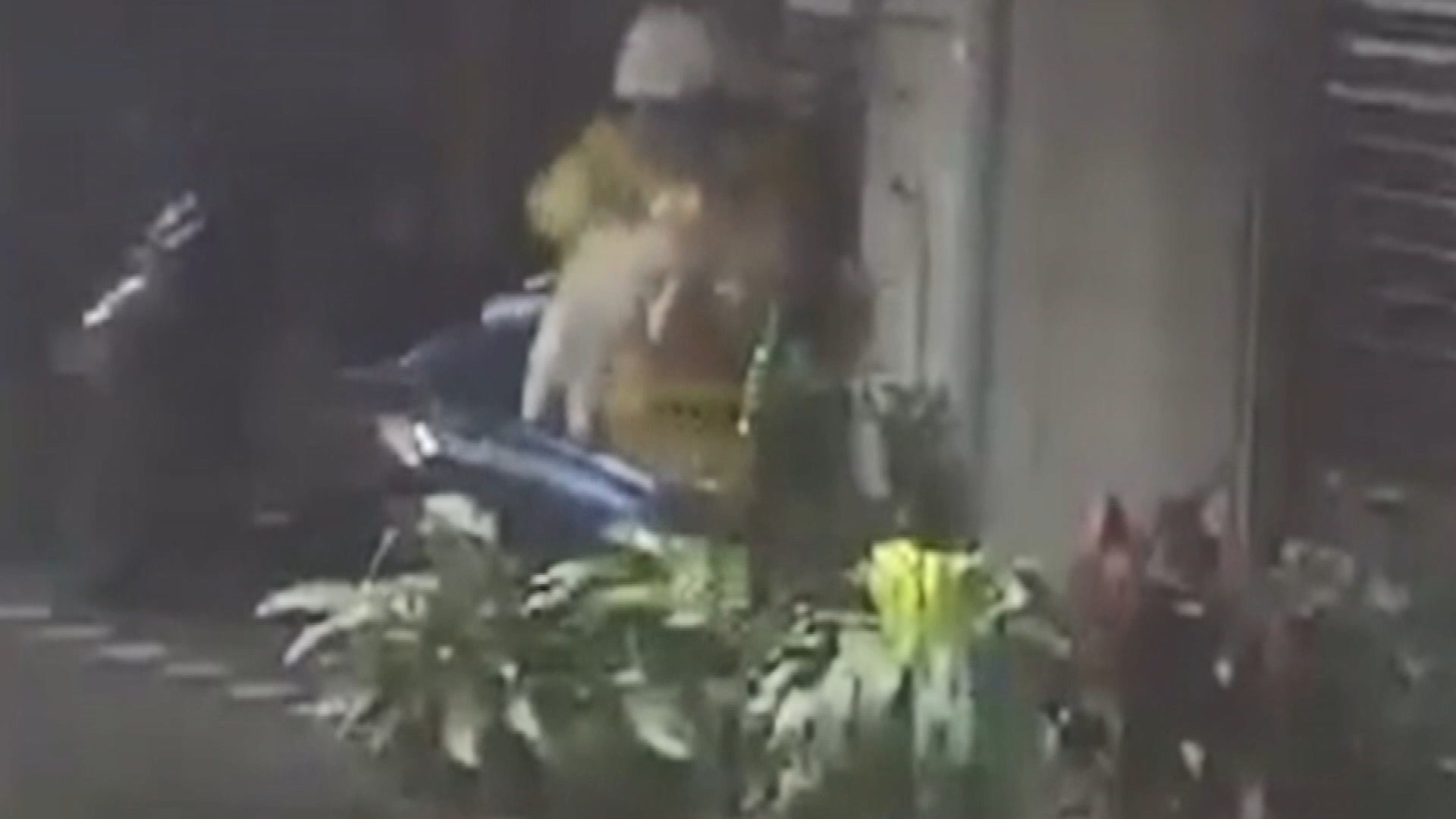 圖/畫面翻攝自瑞芳會更好
