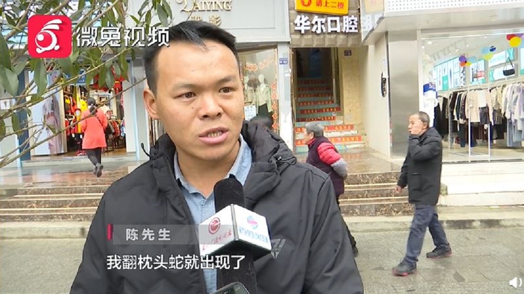 大陸一間飯店被投訴枕頭下有蛇。(圖/翻攝自百姓關注微博)
