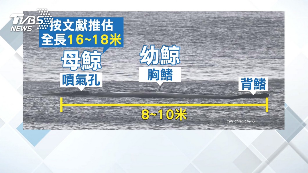 圖/畫面提供葉建成