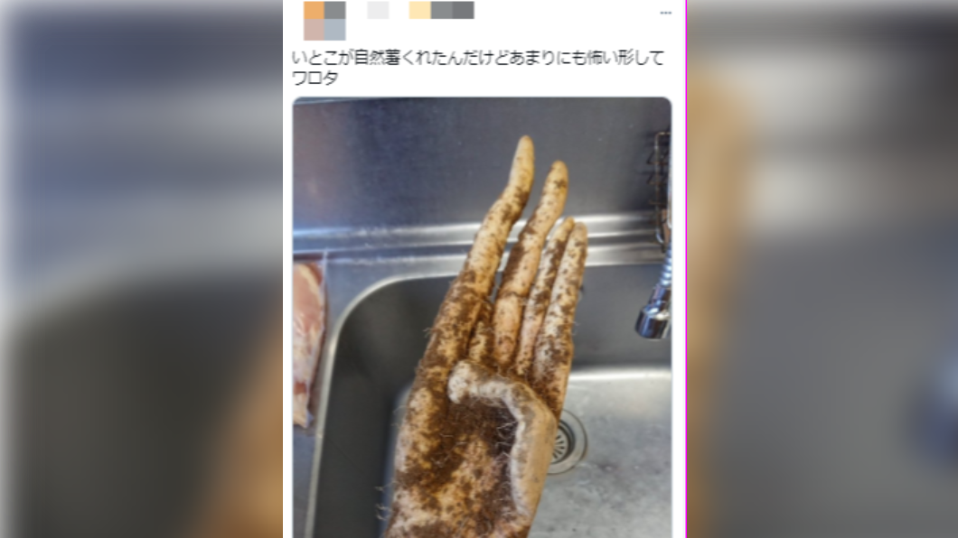 網友在表哥寄來的包裹裡看見恐怖怪手。（圖／翻攝自ibukiriP twitter）
